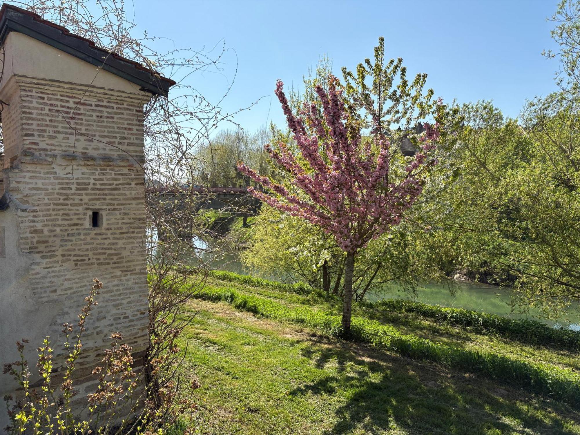 Doubs Sejour - Chambres Avec Petits Dejeuners En Suppl Verdun-sur-le-Doubs Exteriér fotografie
